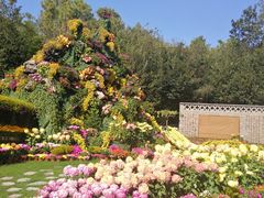 -共青国家森林公园-南大门停车场