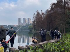 -重庆彩云湖湿地公园