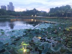 -映月湖公园