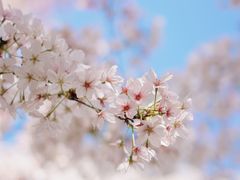 -龙美术馆(西岸馆)