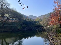 -冶父山国家森林公园