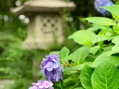 门面-杭州西子湖四季酒店·金沙厅