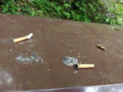 -牛背梁国家森林公园