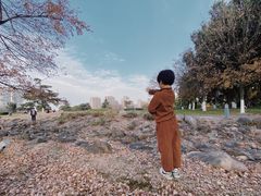 -白塘生态植物园