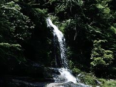 -龙苍沟森林公园