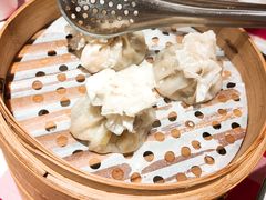 蒙古羊肉烧卖-西贝(宝乐汇店)