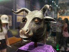 -广西壮族自治区博物馆