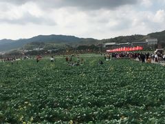 景点-古田会议纪念馆