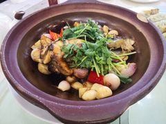 -清心鸡沙田乳鸽店·非遗传承(粤垦路店)