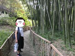 -汇龙潭