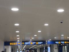 -上海浦东国际机场-T2航站楼