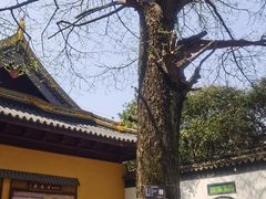 -虞山风景区