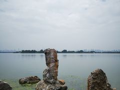 -东湖落雁景区