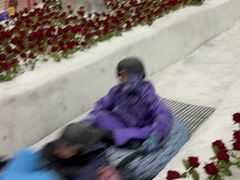 -广州热雪奇迹