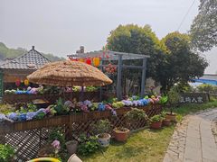 -巢湖姥山岛