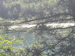 -武陵山森林公园