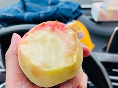 -老槐树煎包
