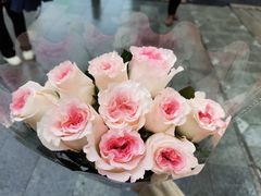 -循礼门鲜花花市(武汉循礼门店)