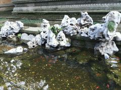 android_upload_pic-普陀山风景名胜区-法雨禅寺