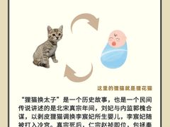 -翊宠yipet猫狗购宠庄园