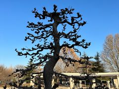 -石家庄市植物园