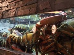 -鱼乐轩海鲜专门店