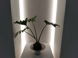 -颜蕾医美·黄金微针·水光·玻尿酸·超声炮·抗衰中心