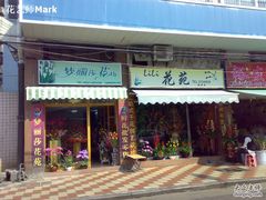 -溪岸路花鸟市场