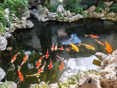 -鲤院·新中式美学·庭院餐厅(夫子庙店)