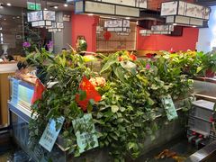 -洞庭家宴·头牌甲鱼(广渠门店)
