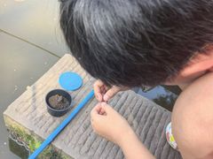 -重庆彩云湖湿地公园