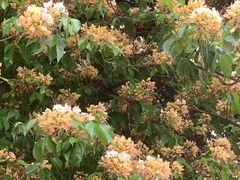 -南丰汇(新港东路店)