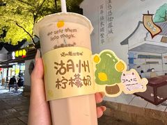-猫的魔法密林(衣裳街店)