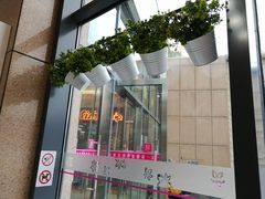 -紫荆广场·花漫里