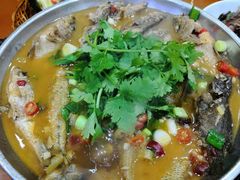 -全乐鱼馆·淳牌有机鱼直营店