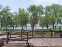 -西青郊野公园