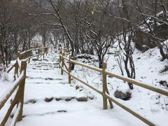 -灵山