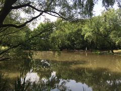 -上海滨江森林公园