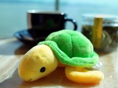 -舟山希尔顿酒店