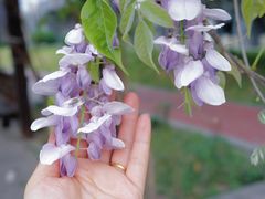 -南京工程学院(江宁校区)