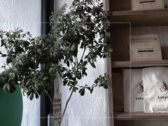 -常识咖啡common sense(春熙路店)