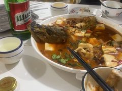 -煲来饱去冷水鱼