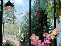 -自由生长植物工作室(深港花卉中心店)
