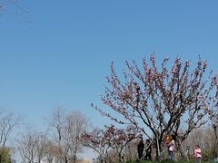 -上海山野camping·户外天幕烧烤·团建拓展营地