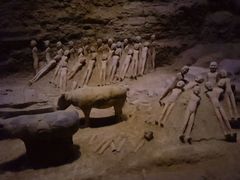 -汉景帝阳陵博物院