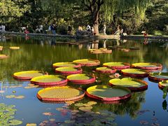 -国家植物园南园