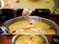 -云鱿记鱿鱼鸡·野生菌火锅(人民南路店)