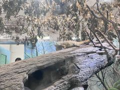 -成都动物园