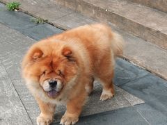 -苏州河梦清园环保主题公园