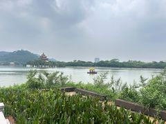 -顺峰山公园